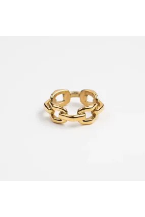 Briar Big Chain Ring