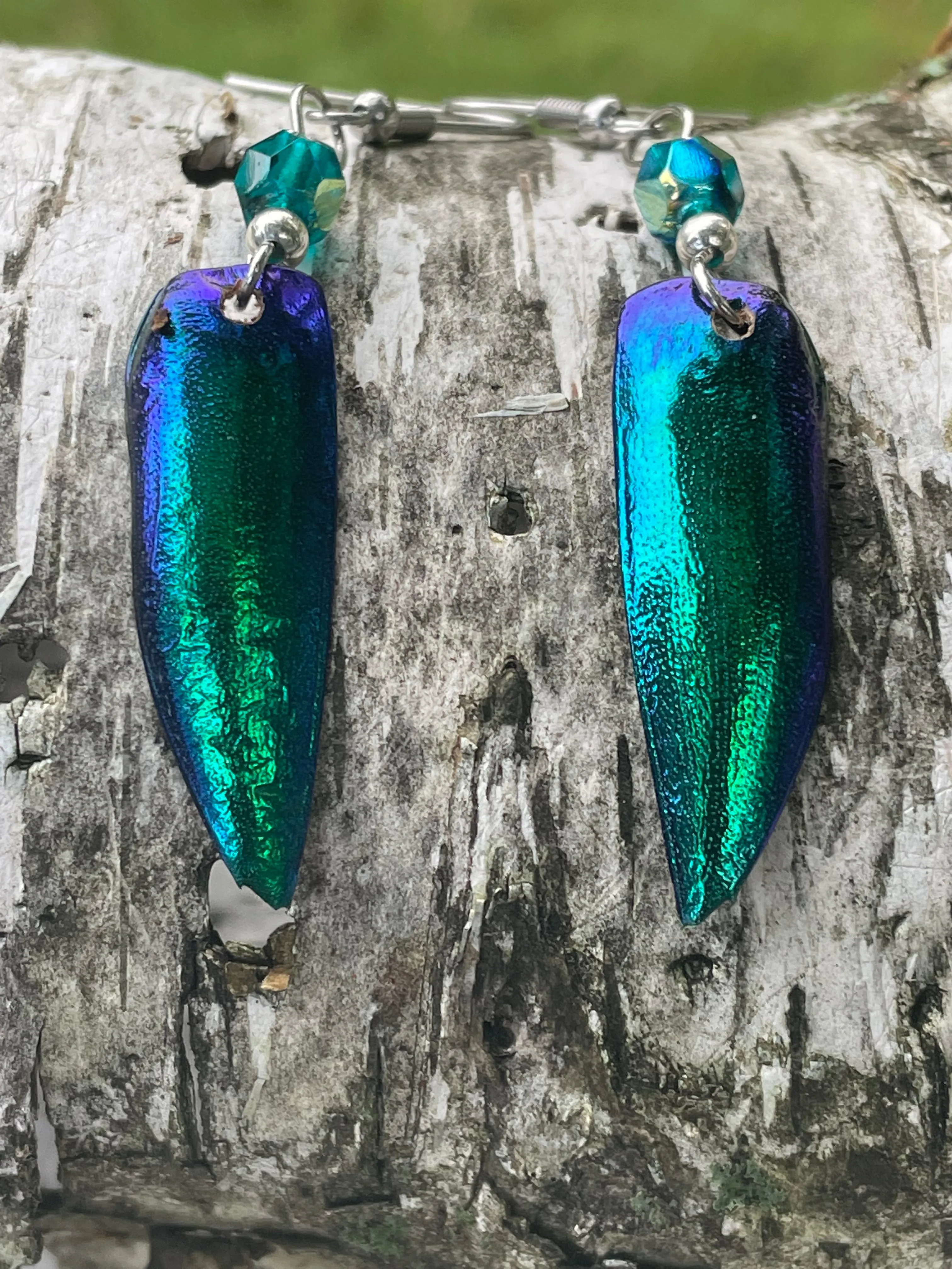 Jewel Beetle Earrings