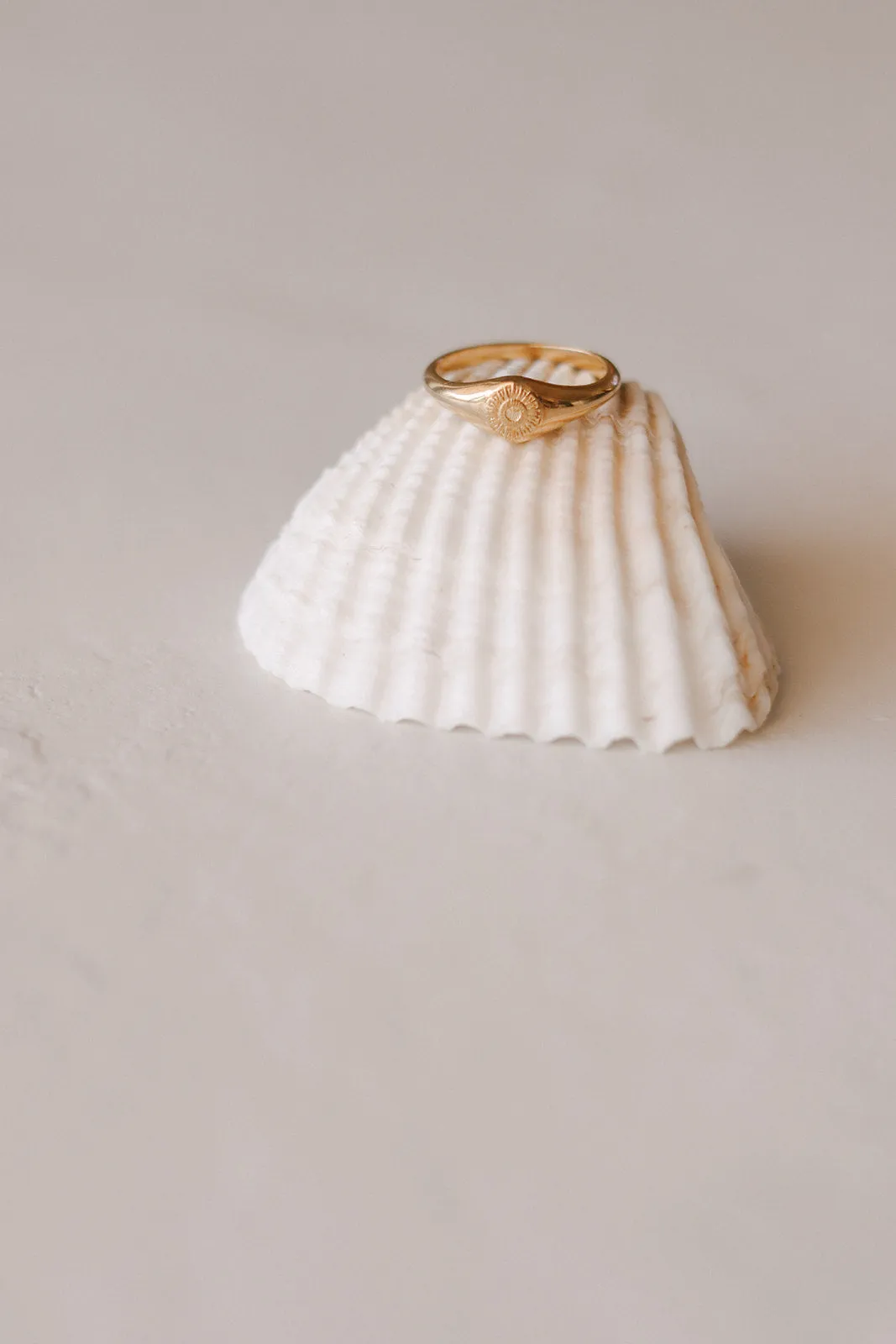 Ocean of Grace Ring in Vermeil