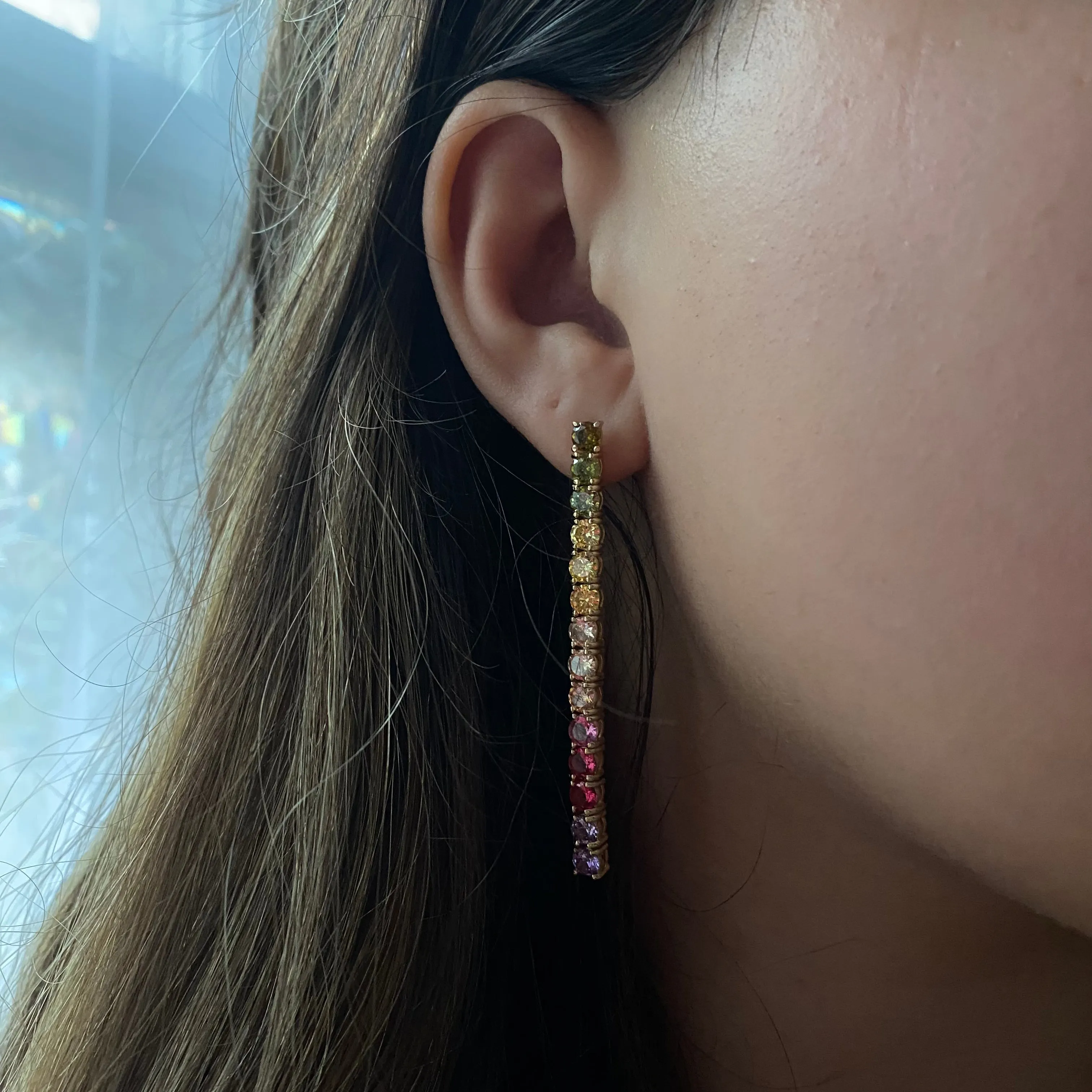 Rainbow Dangly Earrings